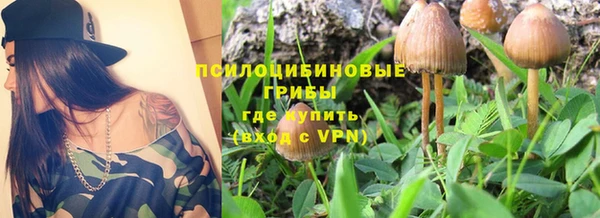 гашишное масло Богородицк